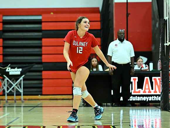 Lions-01169
