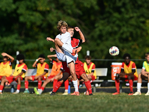 Lions-00676